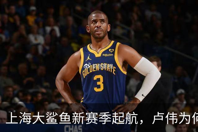 上海大鲨鱼新赛季起航，卢伟为何保持低调？