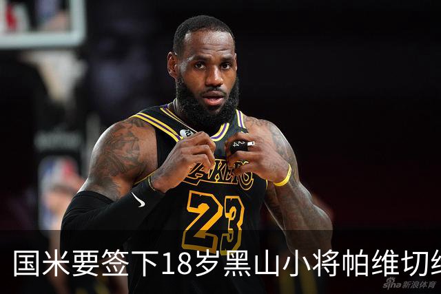 国米要签下18岁黑山小将帕维切维奇啦！